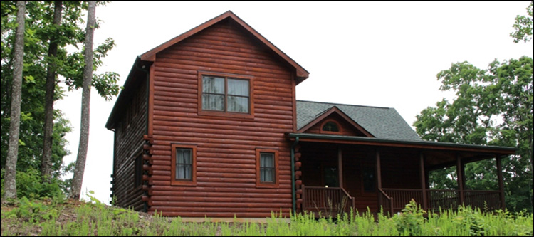 Professional Log Home Borate Application  Towns County, Georgia